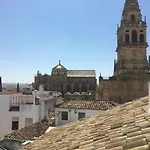 Sunshine La Hoguera