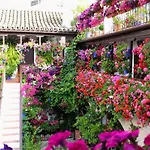 El rincón de Orive
