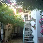 Patio Del Limonero