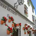 Vitium Cordoba
