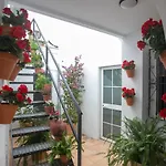 Vitium Cordoba
