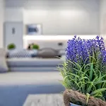 Apartamento Domi & Parking Incluido
