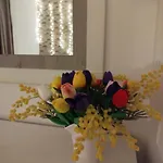 La Casa De La Mimosa