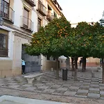 Apartamento Cordoba Mezquita