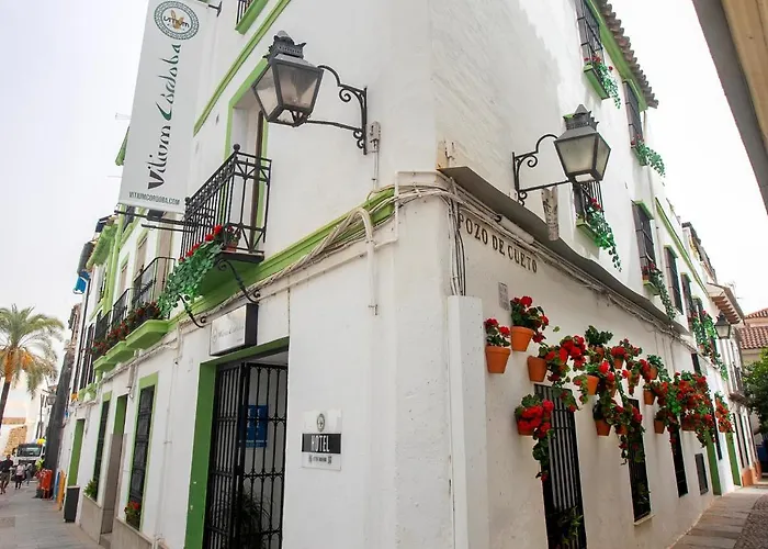 Vitium Cordoba