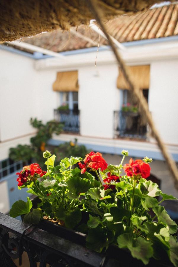 Casa Sirfantas *
