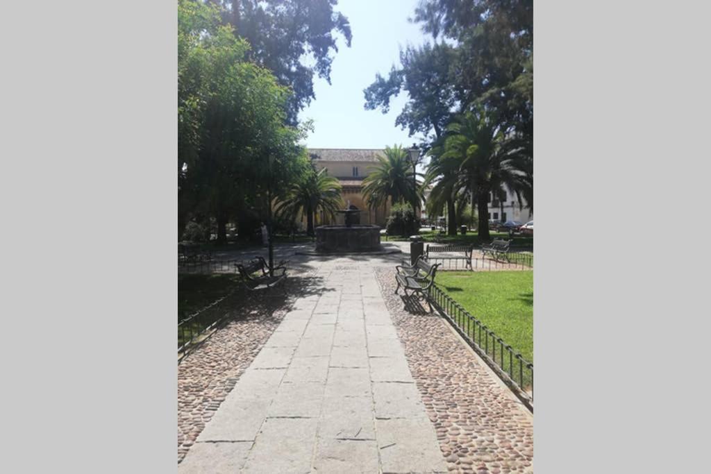 Loft La Magdalena Apartamento Córdoba