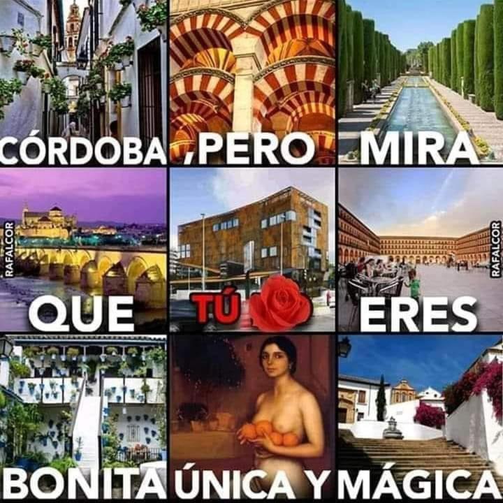Perla 1 Cplace Ecológico