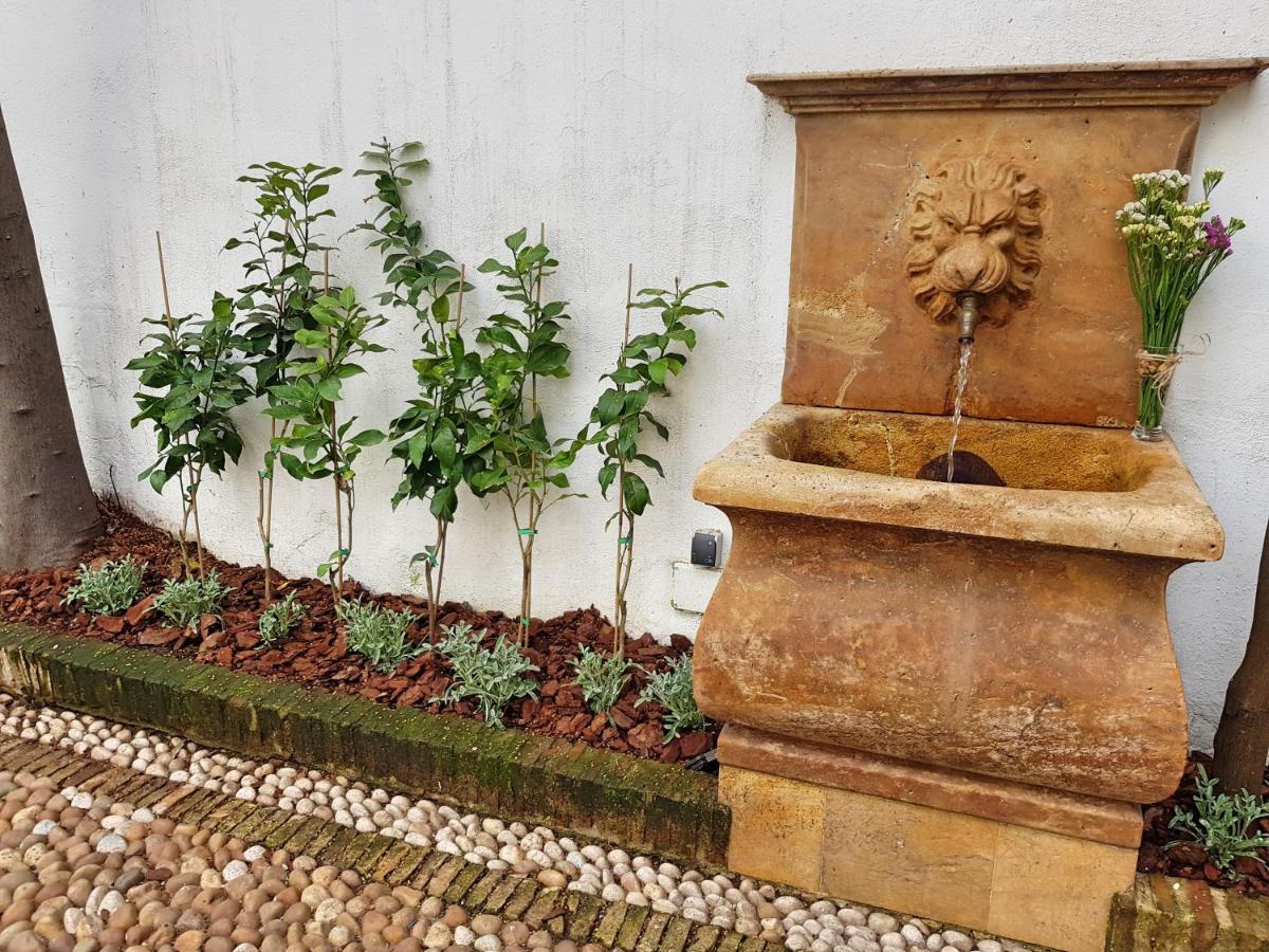 Apartamento Mezquita De *
