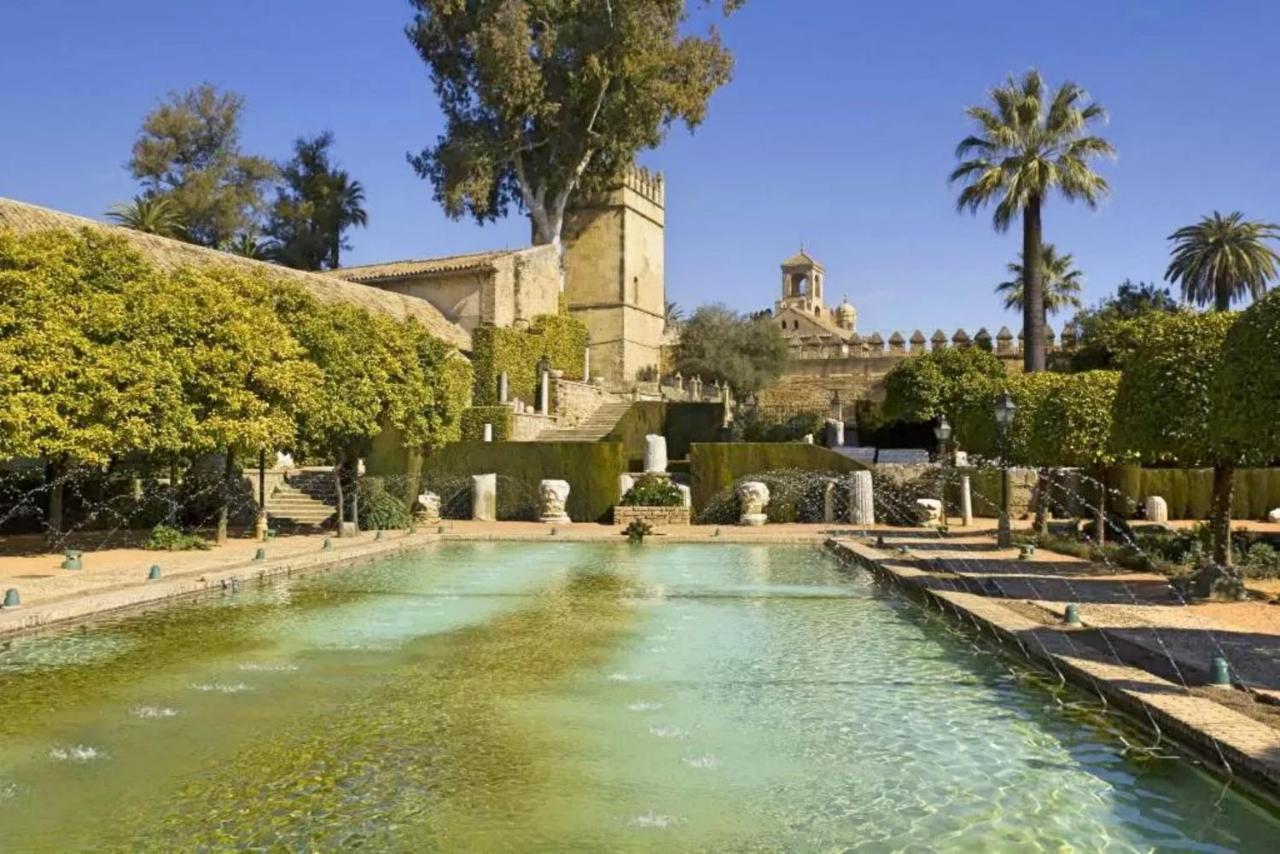 Apartamento Mezquita De *