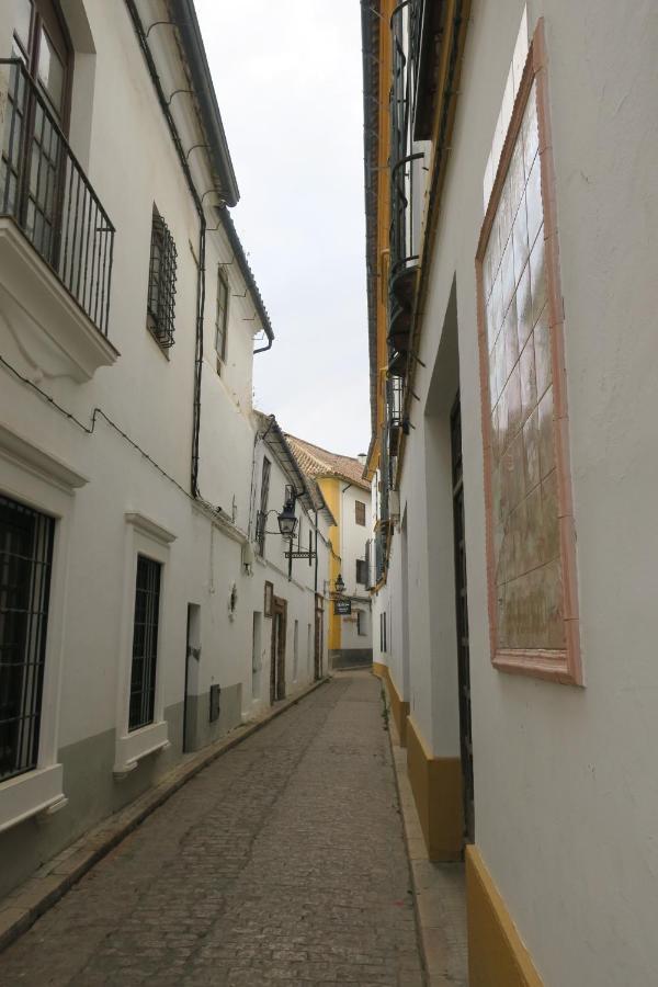 Apartamento Calle De La Convalecencia *