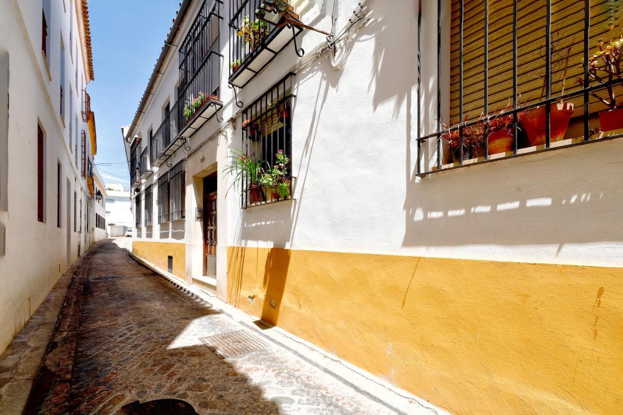 Tejón Y Marín, Nuevo En Casco Antigüo
