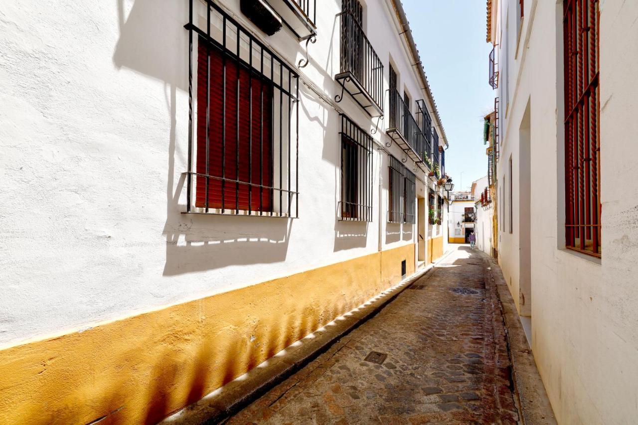 Tejón Y Marín, Nuevo En Casco Antigüo * Córdoba