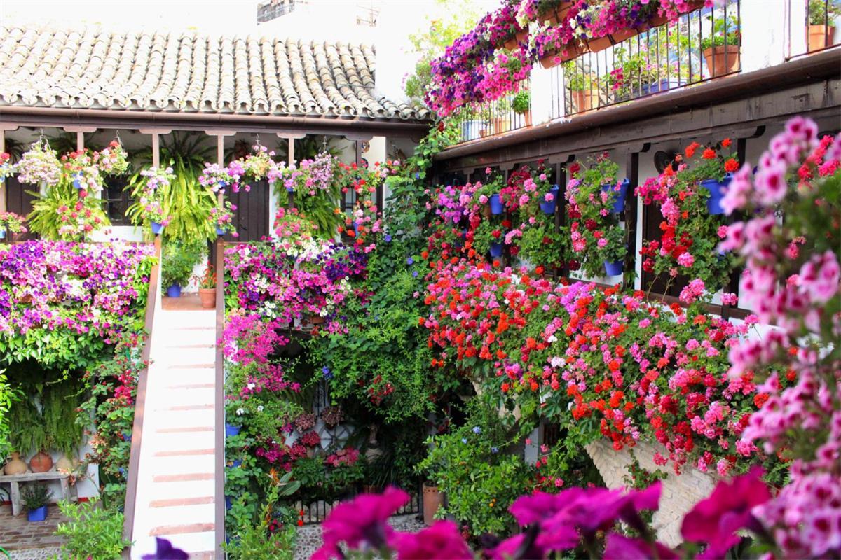 El Rincón De Orive Córdoba