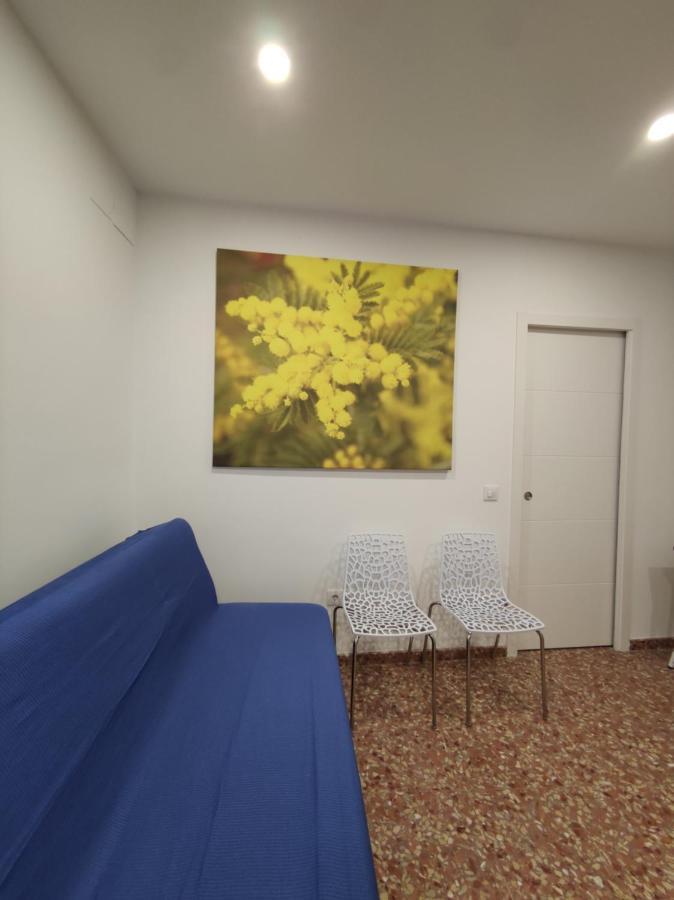 La Casa De La Mimosa Apartment *