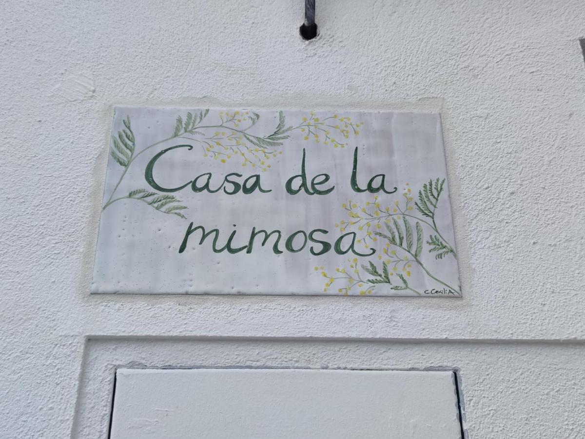Apartment La Casa De La Mimosa