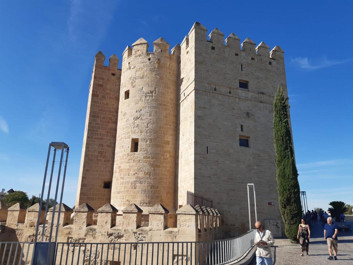 Apartamento Loft La Calahorra 1 Con Posibilidad De Aparcamiento *