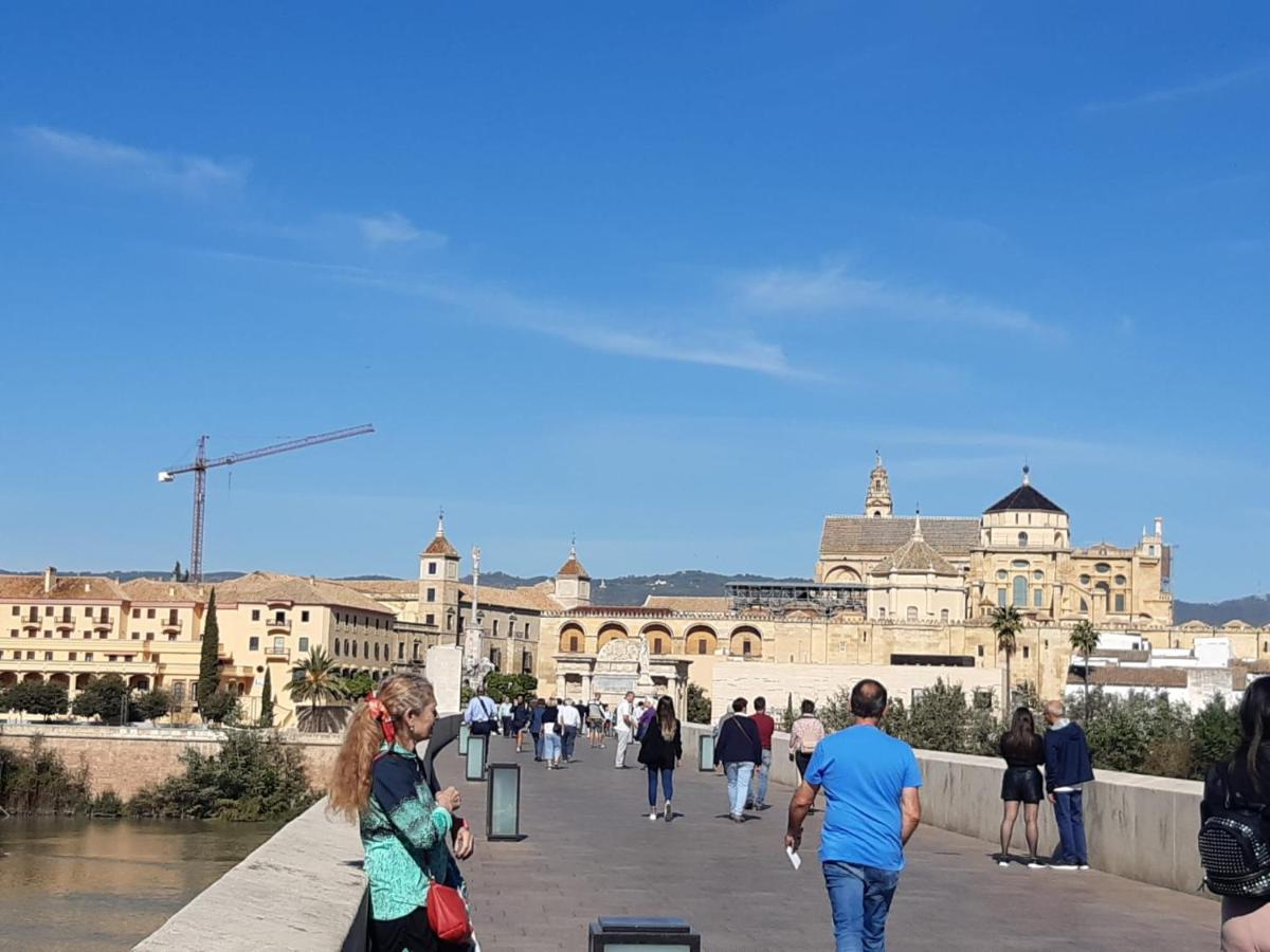 Loft La Calahorra 1 Con Posibilidad De Aparcamiento *