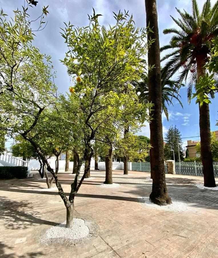 Nuevo Los Almendros 104 Complejo Turistico Apartment *