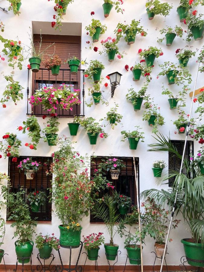 Apartamento El Olivo