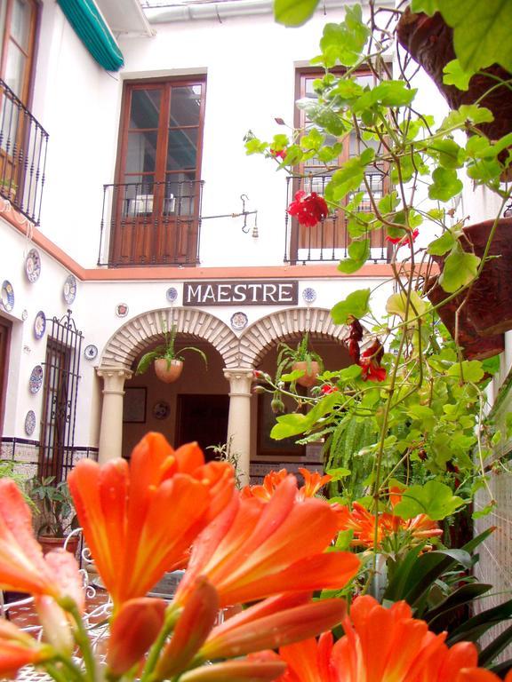 Maestre Guest house Cordoba