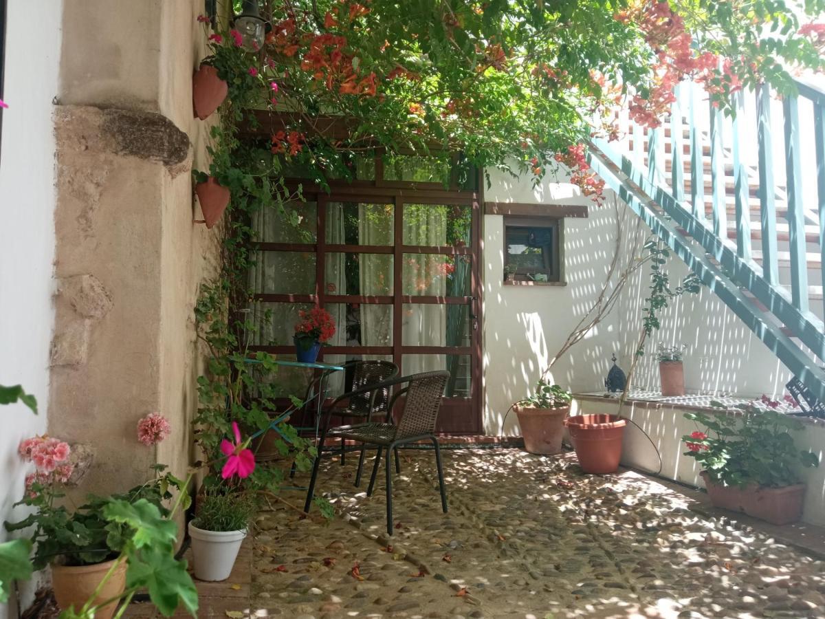 Patio Del Limonero