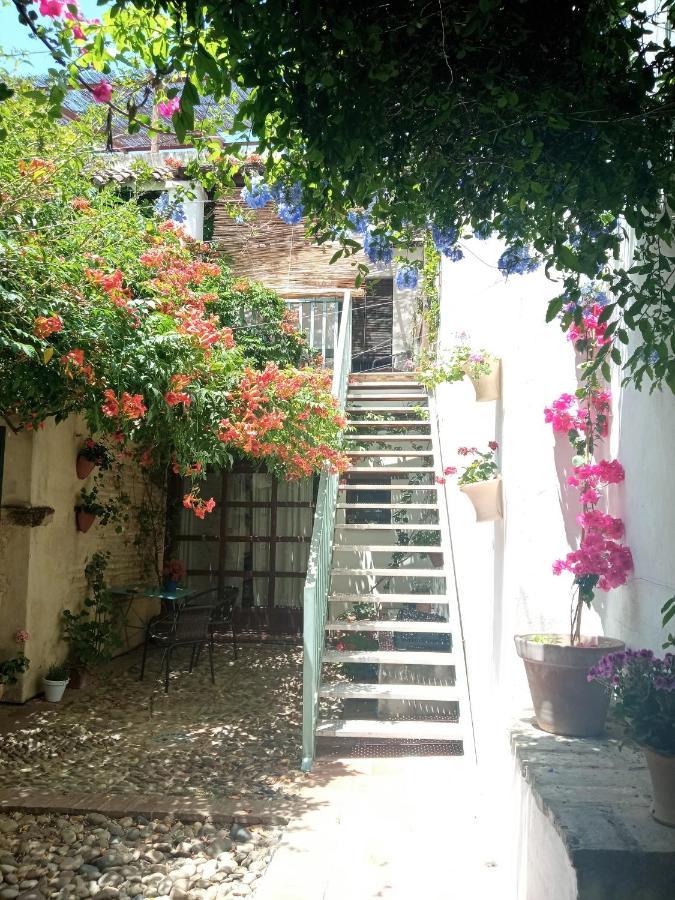 Apartamento Patio Del Limonero