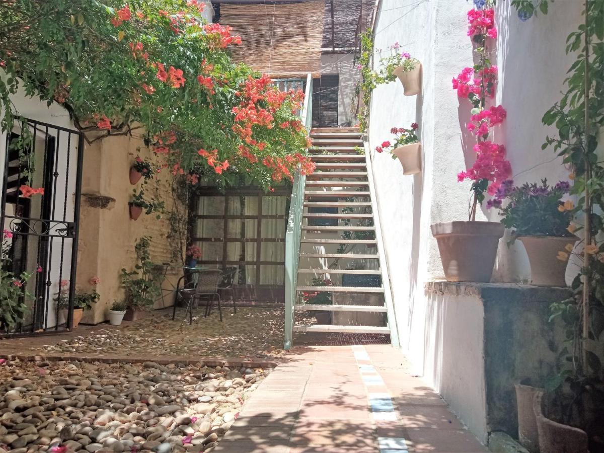 Apartamento Patio Del Limonero Córdoba