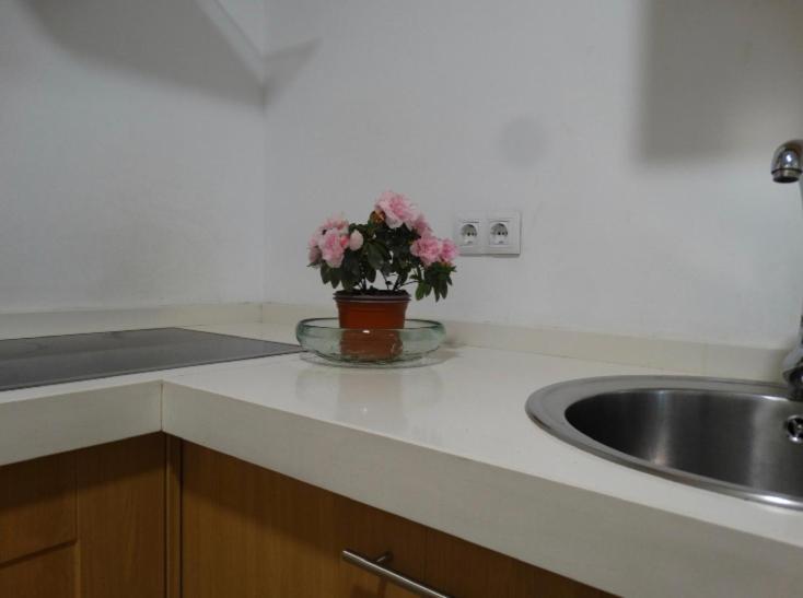 Pleno Centro Muy Luminoso Apartamento Córdoba