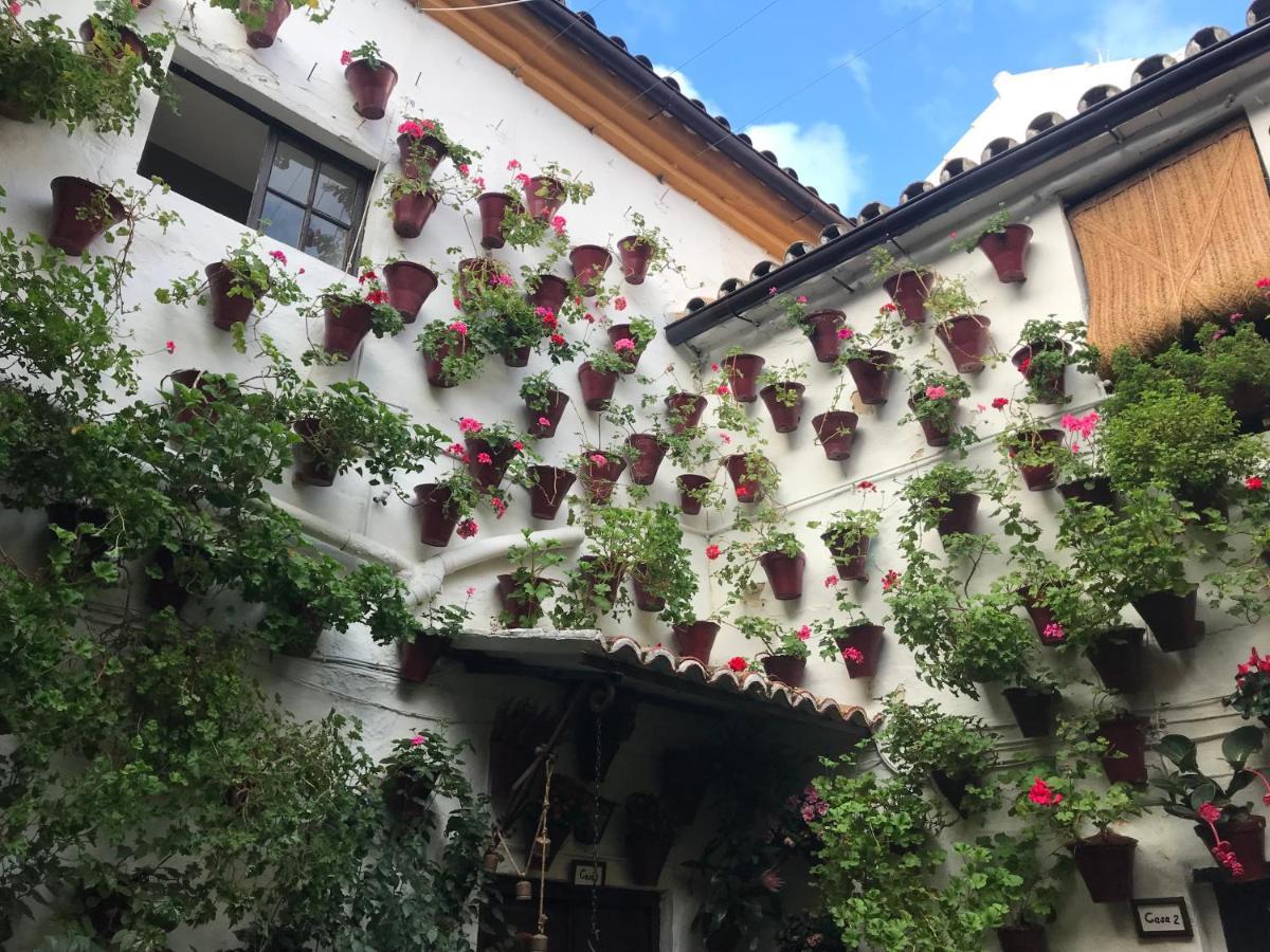 Aroma De Azahar, En San Basilio