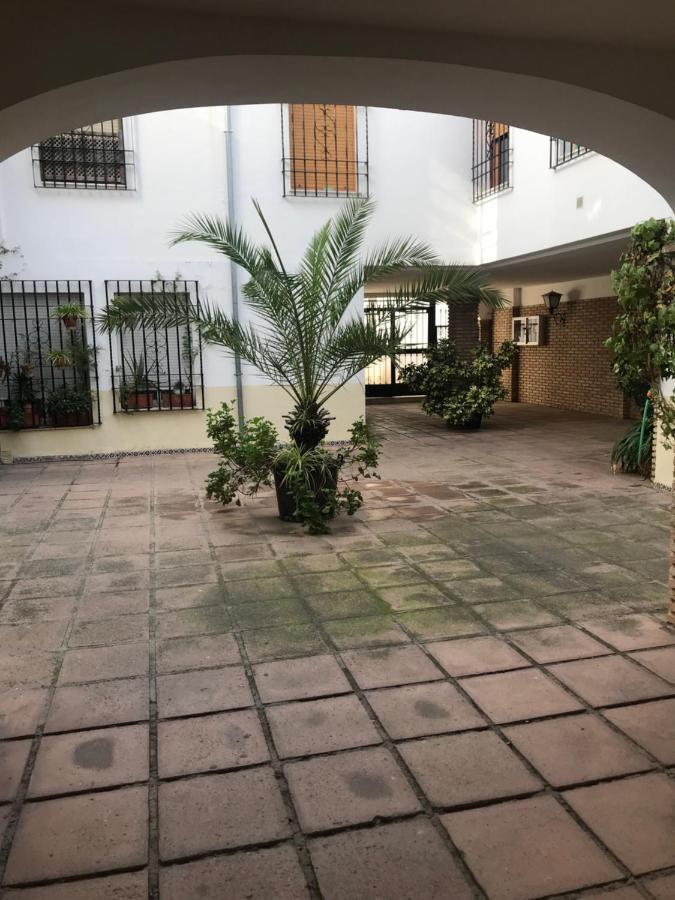 Aroma De Azahar, En San Basilio *