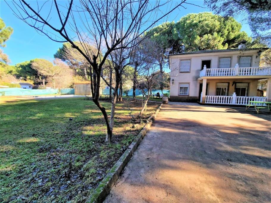 Casa Rosas De Trassierra * Cordoba