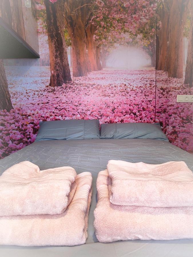 Apartamento Suenos De Orive. Con Piscina Y Wifi. Casco Antiguo. *