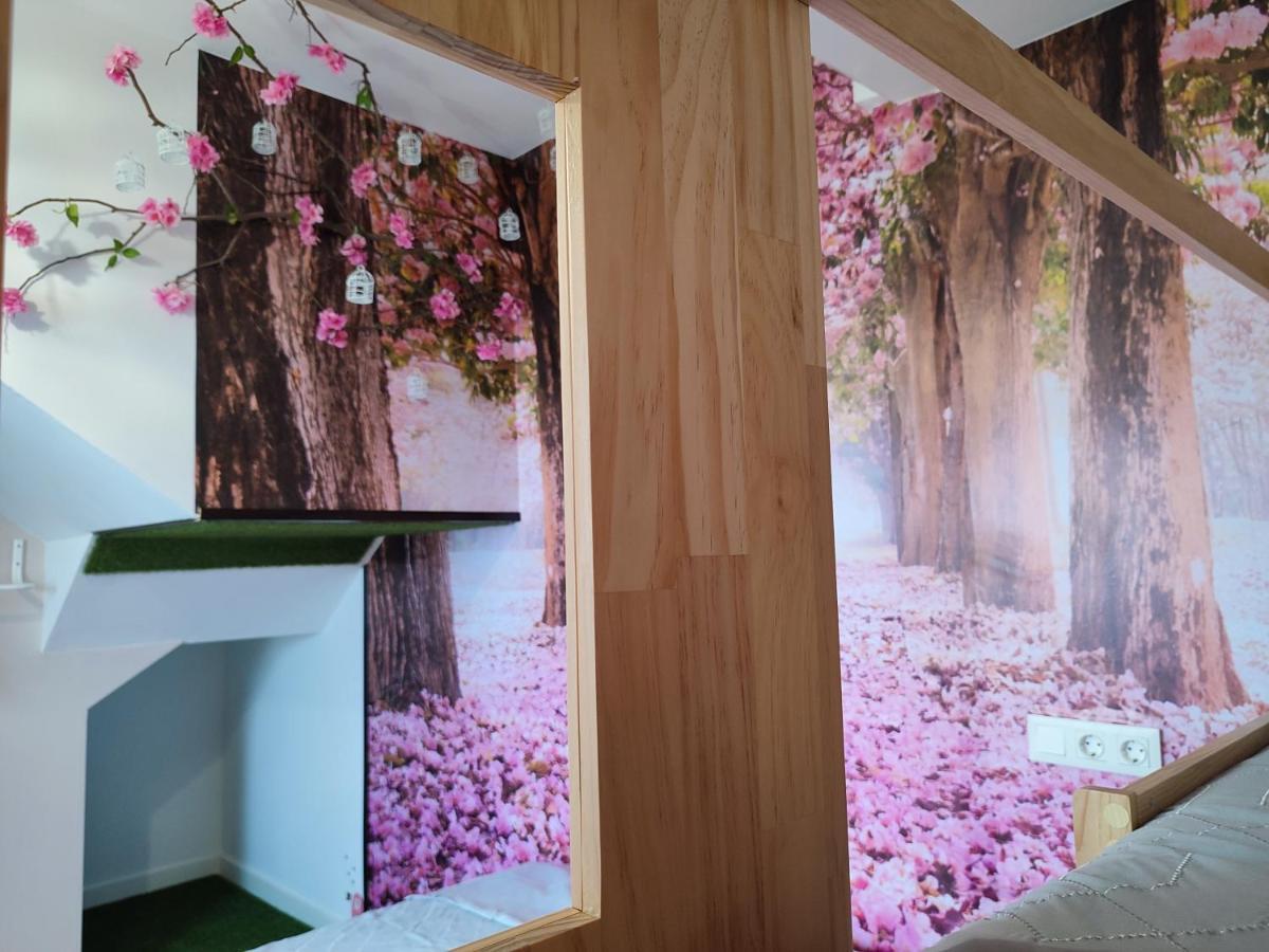 Apartamento Suenos De Orive. Con Piscina Y Wifi. Casco Antiguo.