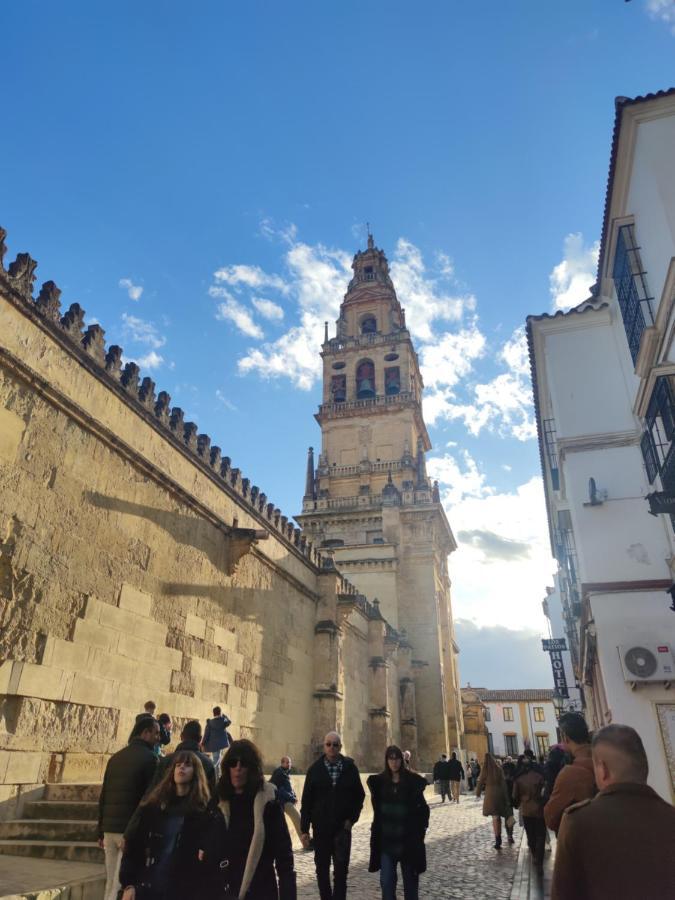 La Casa De La Mimosa *