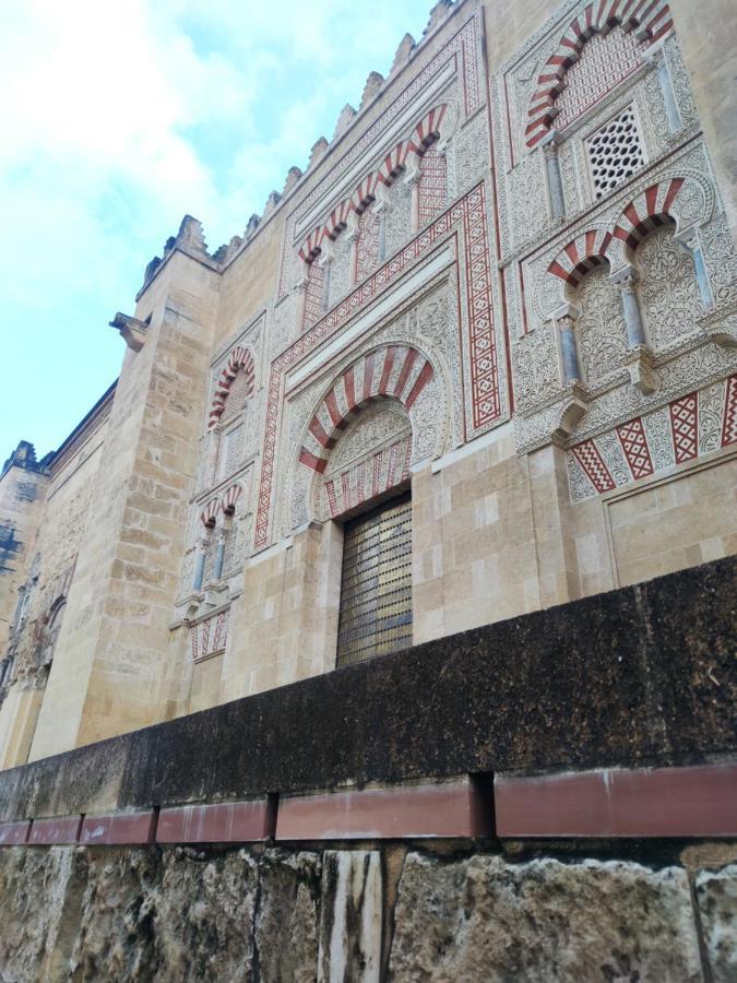 La Casa De La Mimosa Cordoba