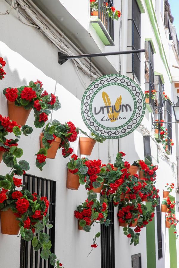 Hotel Vitium 2*
