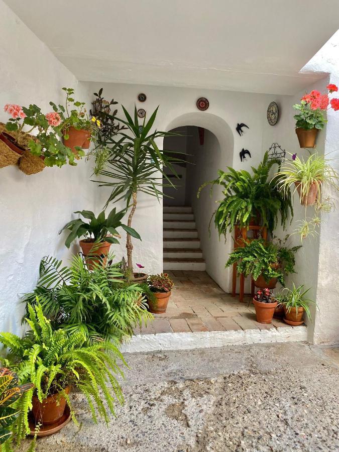 Amal Casa De Huespedes Apartment Cordoba