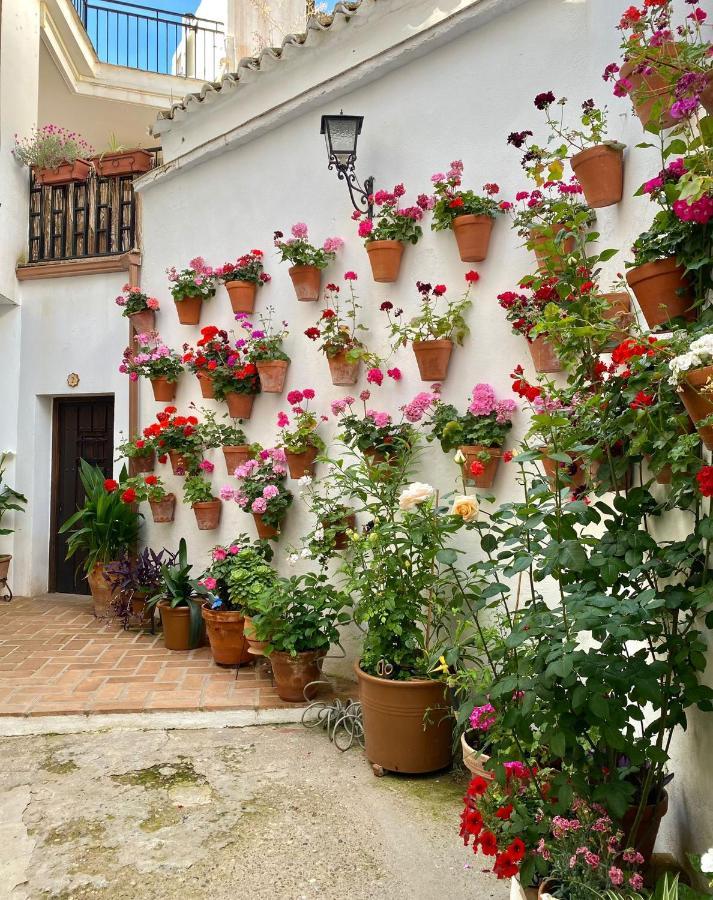 Apartment Amal Casa De Huespedes Cordoba