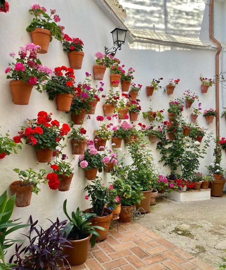 Amal Casa De Huespedes *