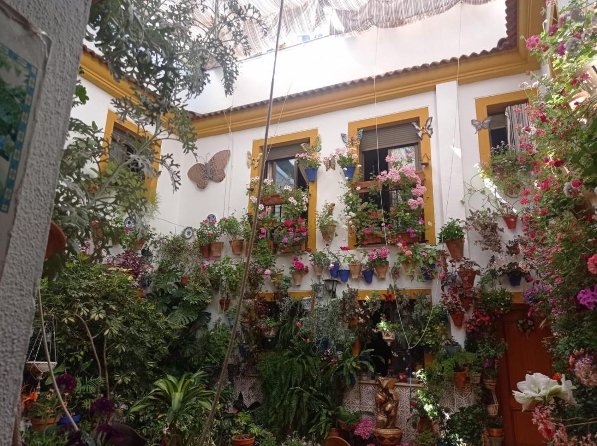 Сasa de vacaciones Patio Pozanco Córdoba