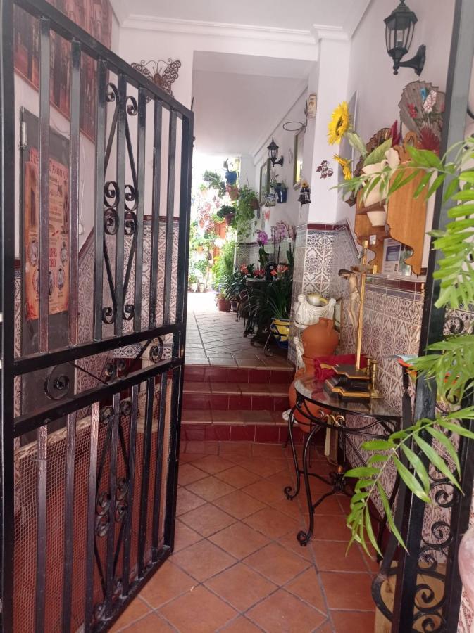 Patio Pozanco