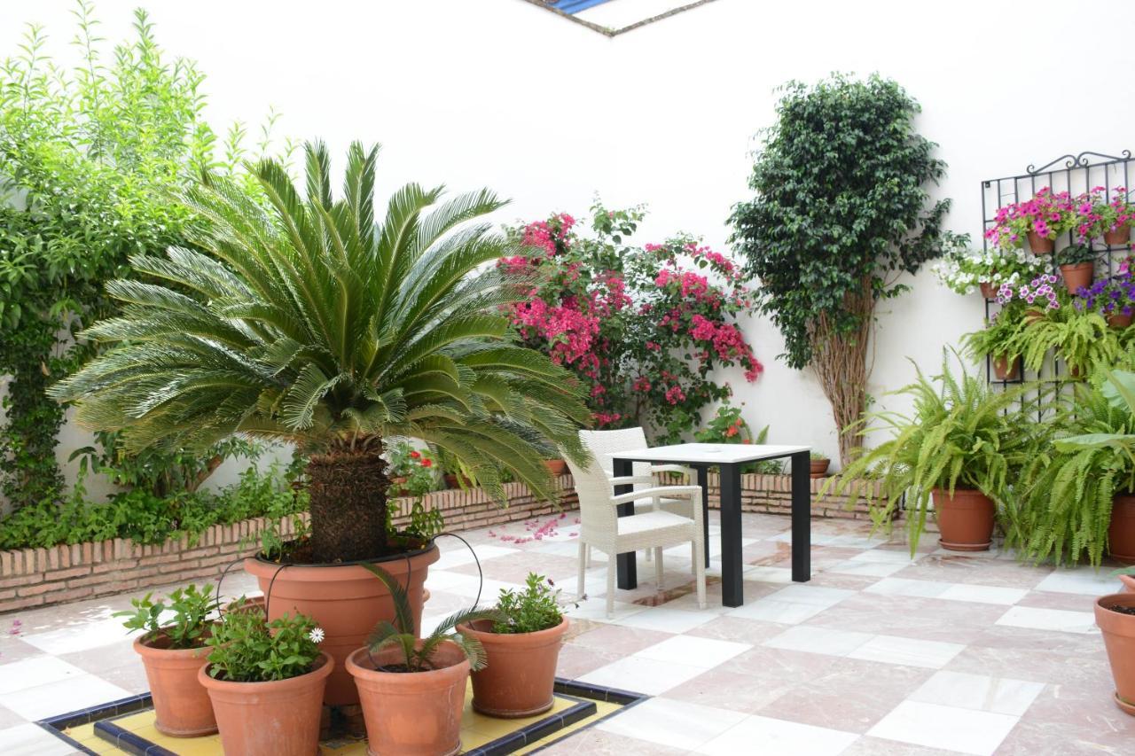 Apartment Purisima Vivienda Turistica Cordoba