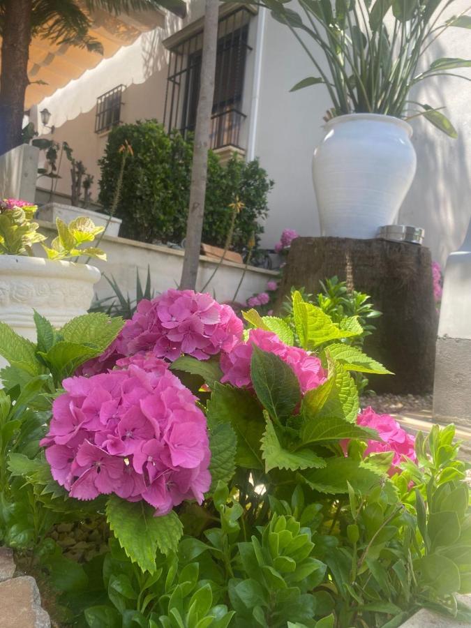 Casa Encinares Córdoba