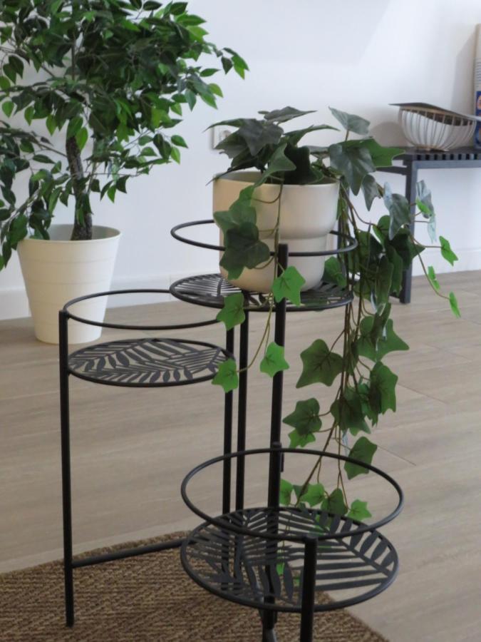 Venerable 15a Apartamento Córdoba