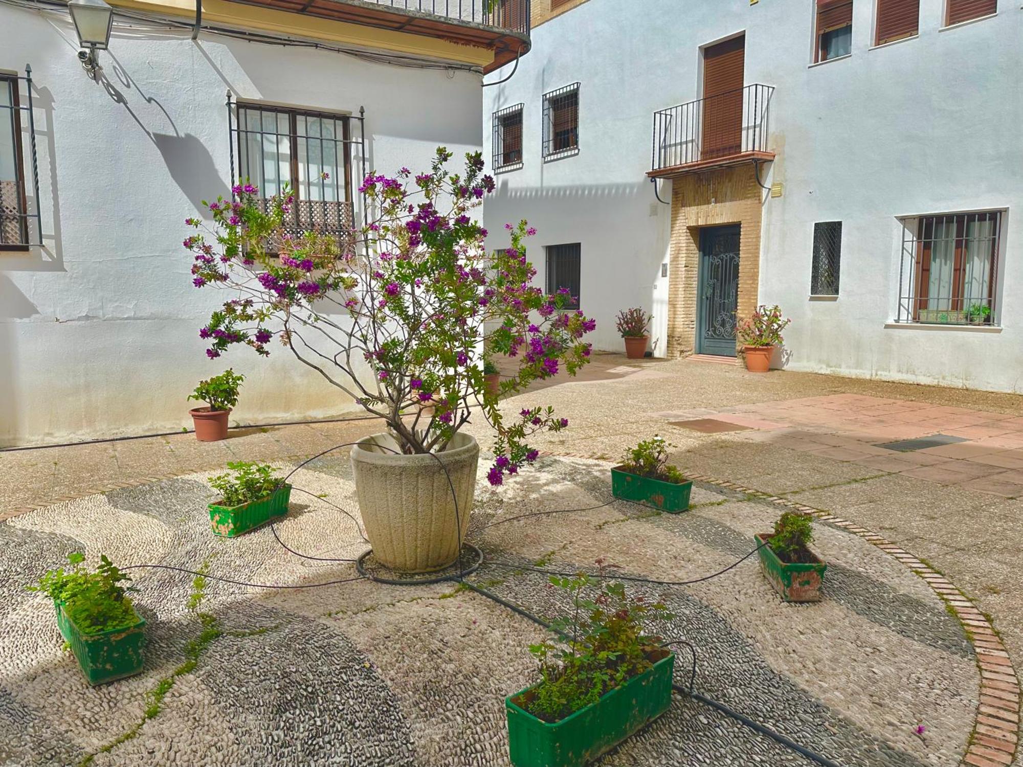 La Sacristia De San Pablo Apartment Cordoba