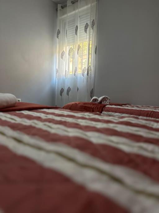 Apartamento Turistico O.n Renfe