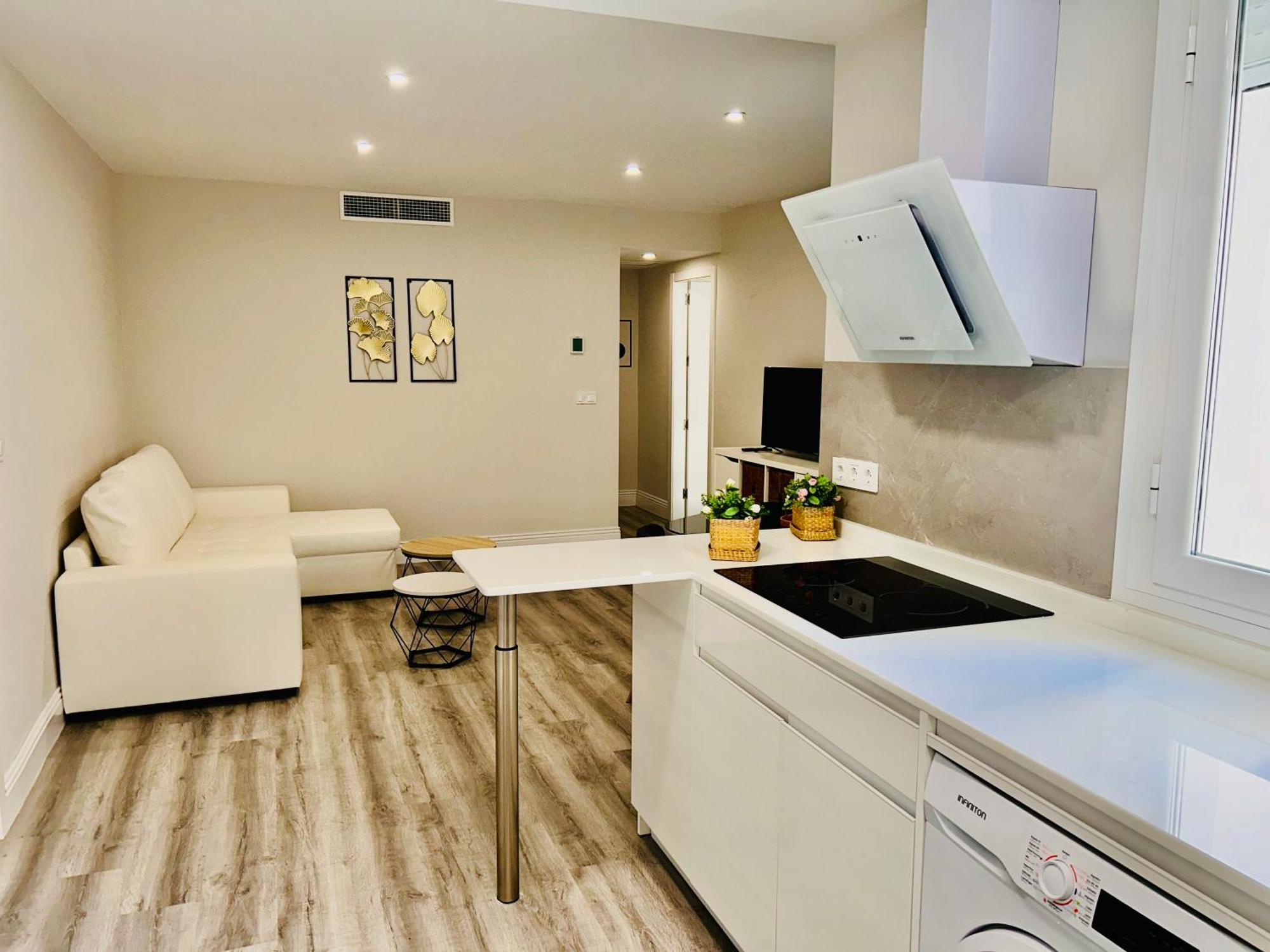 Apartment Gran Capitan