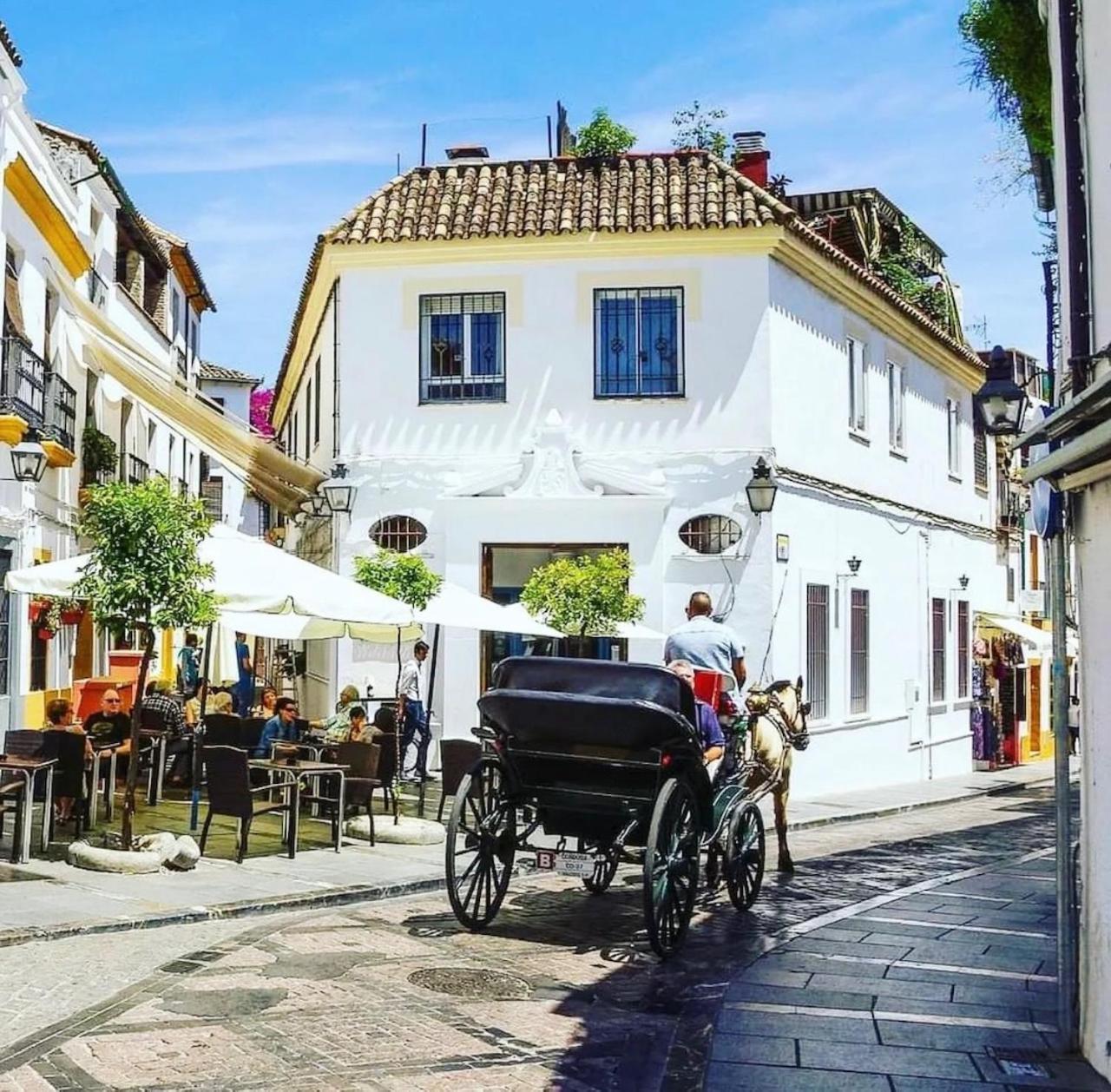 El Cardenal Apartamento Córdoba