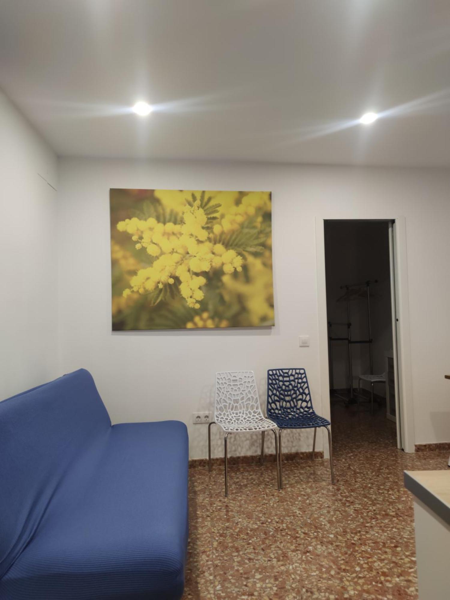 Apartment La Casa De La Mimosa *